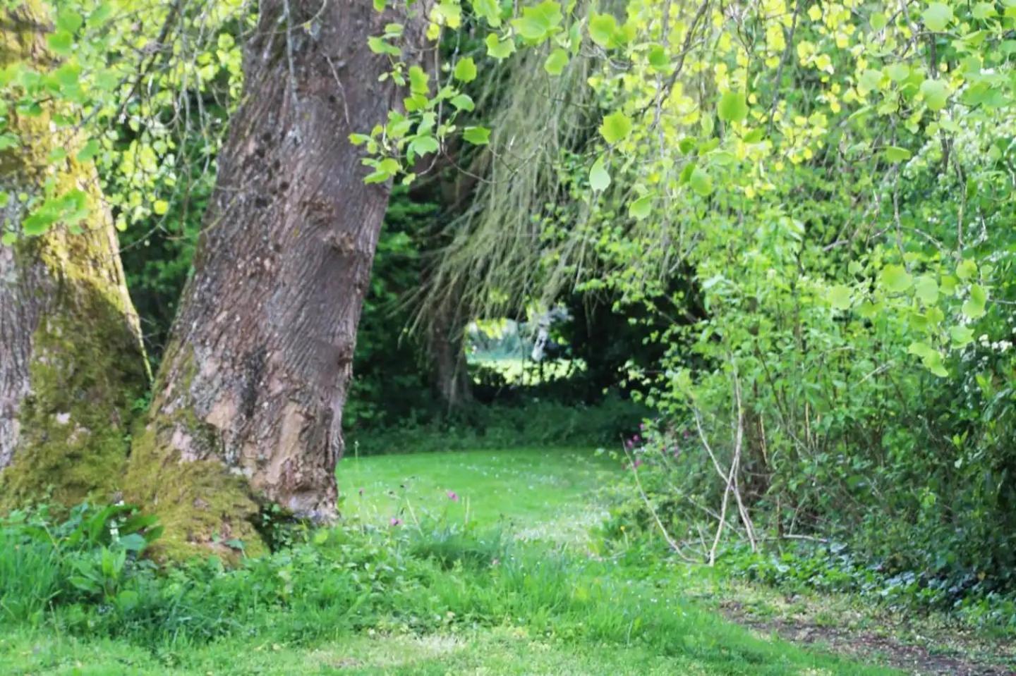 Charmant Cottage 8 Personnes En Normandie Cleuville Экстерьер фото